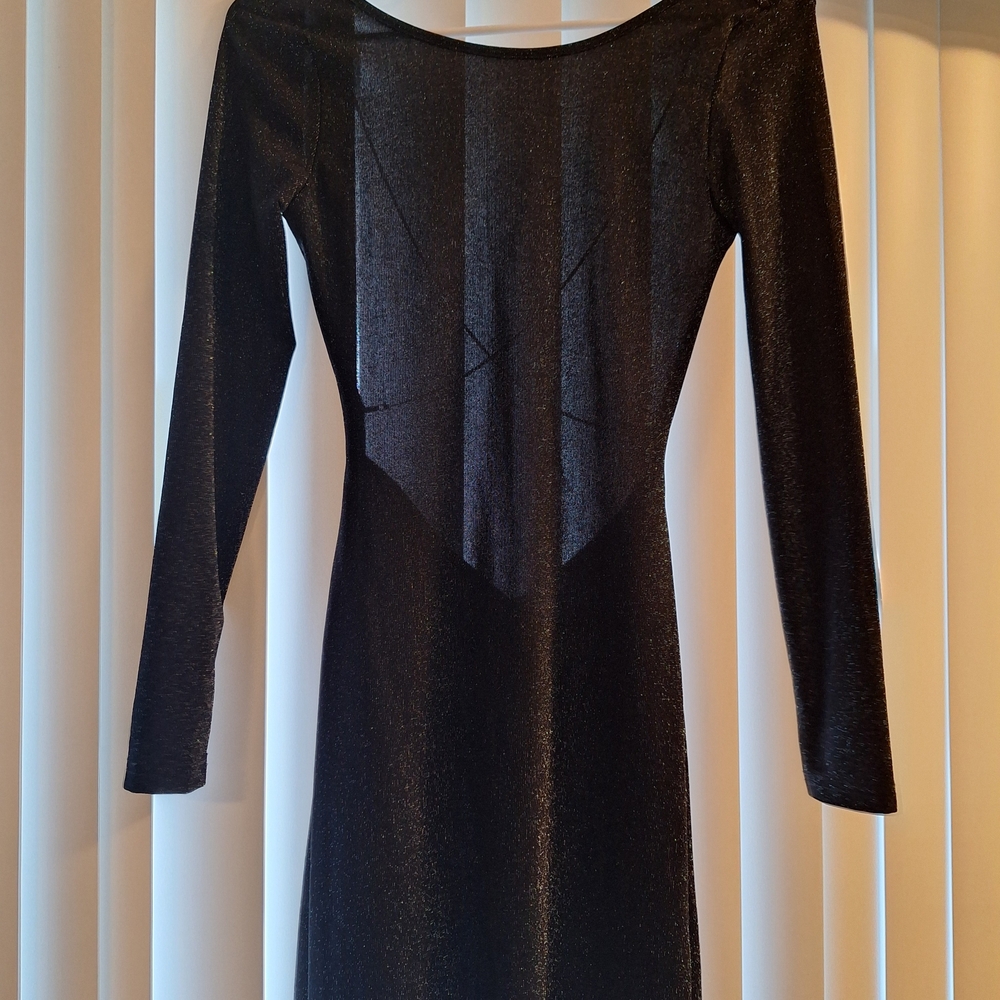 NWOT.  Bundle.  Shimmering dress And Black Textured Long Sleeve Top.